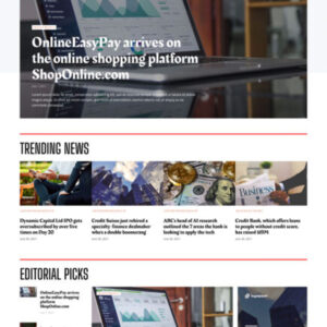 Ever Cool Media Website - Business Magazine 04 Homepage
